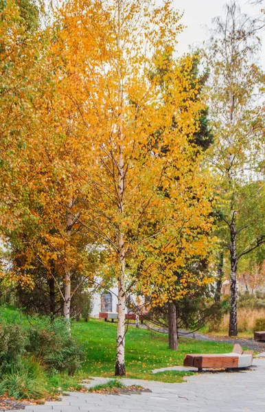 Stílusú Padok Városi Parkban Ősszel — Stock Fotó