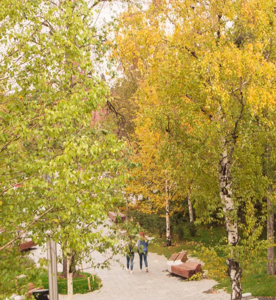 Lejtőn Gyalogos Ösvény Őszi Park Séta Két Lány — Stock Fotó