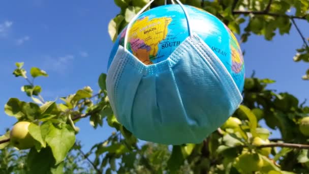 World Quarantine Globe Medical Mask Swings Tree Branch Open Sunny — Stock Video