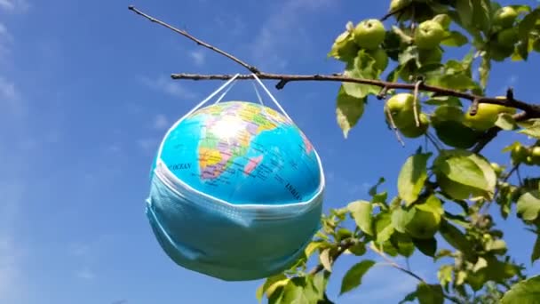 World Quarantine Globe Medical Mask Swings Tree Branch Open Sunny — Stock Video