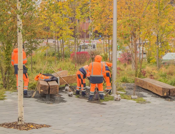 A team of workers in orange uniforms plant trees in a city Park in the fall.