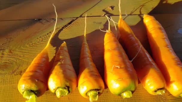 Zanahorias Limpias Frescas Cerca Sobre Fondo Madera Movimiento Cámara Desde — Vídeo de stock