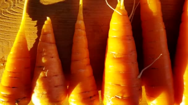 Свежая Чистая Морковь Крупным Планом Деревянном Фоне Движение Камеры Сверху — стоковое видео