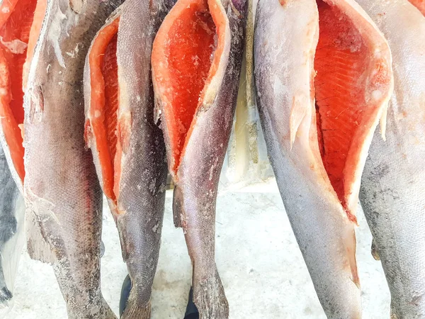 Fresh frozen fish salmon on the counter of the fish market, a whole carcass of gutted red fish.