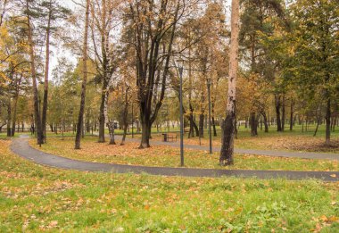 Yağmurlu bir sonbahar gününde, şehir parkında, açık havada, ıslak asfalt yolu..