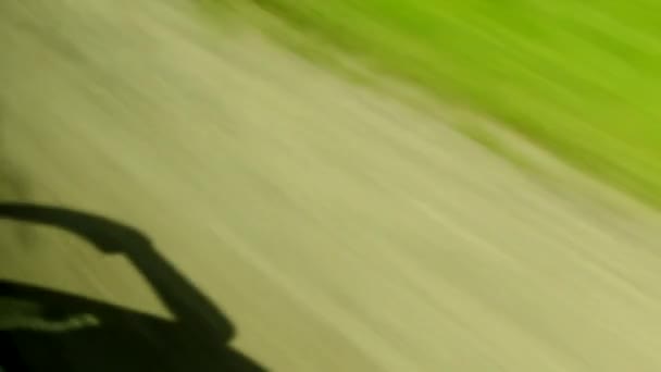 Yolda Hızla Giden Bir Arabanın Gölgesi Parlayan Çitler Çimenler Bulanık — Stok video
