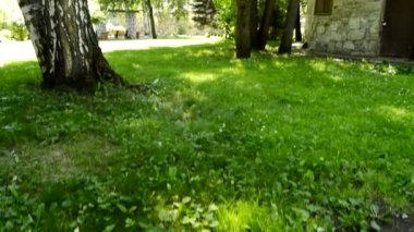 Salıncaktan görüntü, yukarı aşağı sallanan kamera, yaz parkındaki güzel doğa, HD Video