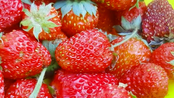 Bella Fragola Rossa Matura Ruota Piatto Lenta Rotazione Delle Fragole — Video Stock