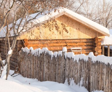 Güneşli bir günde, kış ormanında karla kaplı Noel ağacı gibi küçük bir ev..