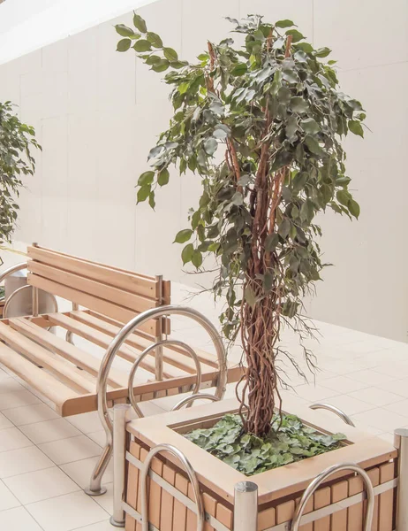 Artificial green plant in large wooden planters for home decoration and office without a treatment, the interior of the rest area of the shopping center