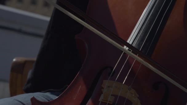 Caucasian Adult Man Playing Cello Rooftop — Stock Video