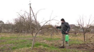Meyve ağacı kertenkele ve haşerelere karşı püskürtülür. Garde konsepti