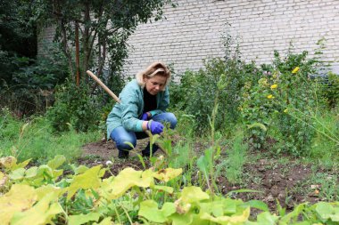 Sebze bahçesindeki kadın diz çöküp bahçe yatağından yabani otları çekiyor..