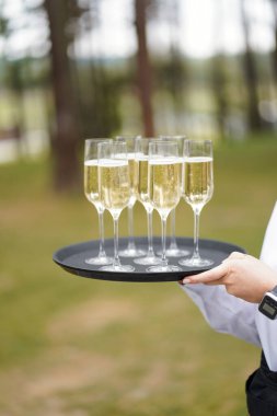 Garson, düğün töreninde misafirler için elinde şampanya kadehiyle tepsi tutuyor..