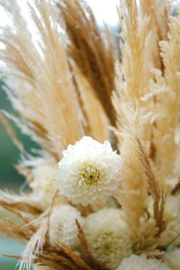 Düğün kemerindeki otların arasında beyaz sert bir çiçek, makro vurgu dokusu.