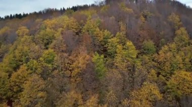 Çayırlar, alanlar ve dağlar