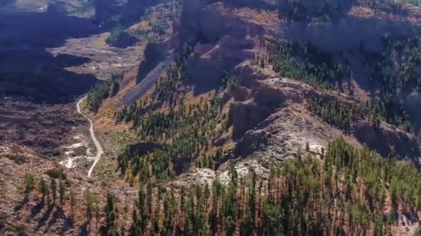 Bosque Las Montañas — Vídeo de stock