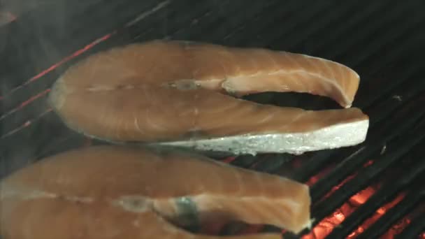 Cooking fish grilled salmon steak — Stock Video