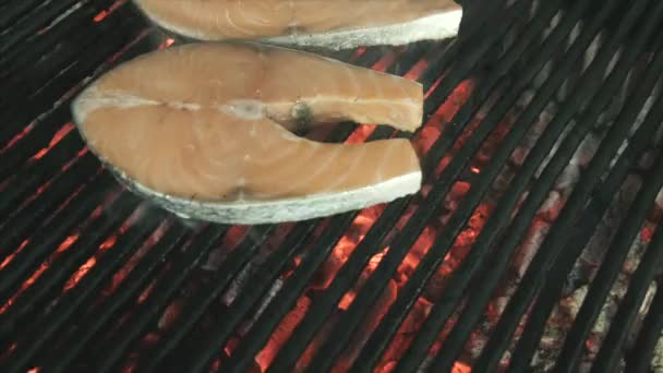 Стейк из лосося на гриле — стоковое видео