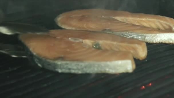 Fresh salmon steaks with grill — Stock Video