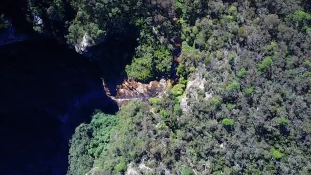 Ruisseau dans le parc national. Creek dans la forêt. Vue aérienne du dessus . — Video