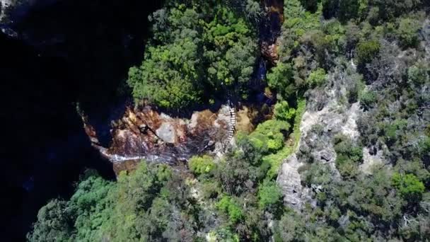 Ruisseau dans le parc national. Creek dans la forêt. Vue aérienne du dessus .