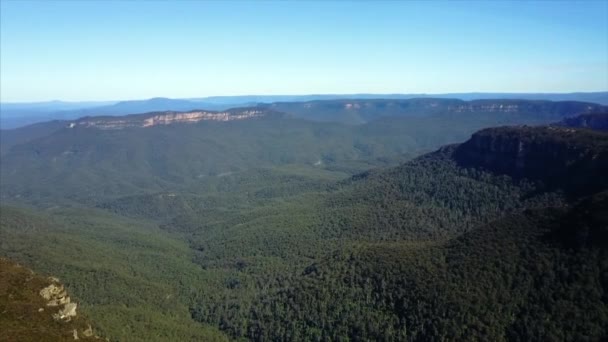 Bosque interminable y denso entre montañas . — Vídeo de stock