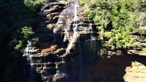 Petite rivière et cascade dans les montagnes de la forêt envahie. Vue aérienne du dessus . — Video