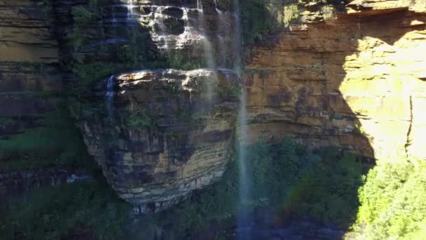 Petite rivière et cascade dans les montagnes de la forêt envahie . — Video