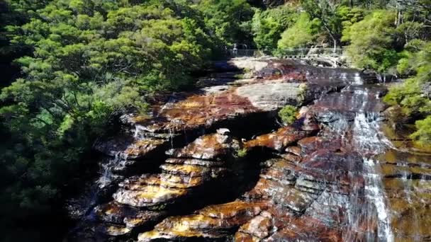 Liten flod och vattenfall i bergen i igenvuxna skogen. — Stockvideo