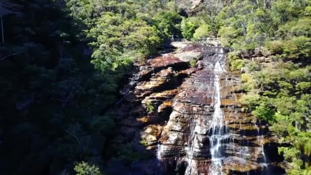 Petite rivière et cascade dans les montagnes de la forêt envahie . — Video