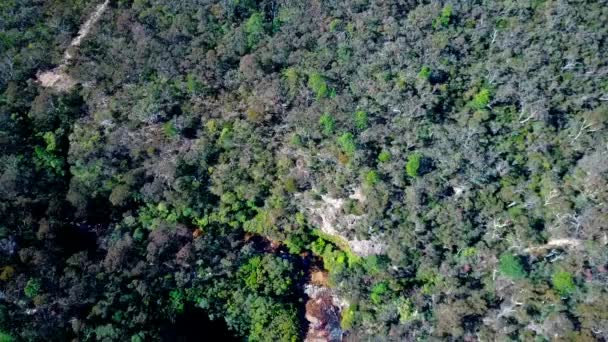 Forêt épaisse dans les montagnes. Vue aérienne du dessus . — Video