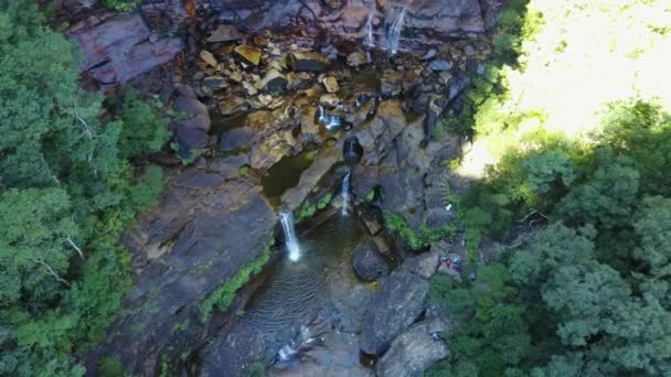 Liten flod och vattenfall i bergen i igenvuxna skogen. — Stockvideo