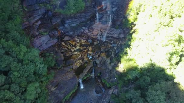 Liten flod och vattenfall i bergen i igenvuxna skogen. — Stockvideo