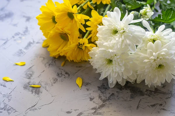 Bouquet of chrysanthemums. On the petals are drops of water that glow under the rays of light. Can be used for cards, covers.