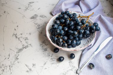 Büyük, siyah, şaraplı üzümler. Maya adı verilen beyaz bir kaplama ile kaplıdır. Onların yardımıyla şarap elde edilir. Meyvelerüzerinde su damlaları, dekorasyon için gri bir kumaş yanında. 