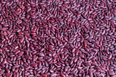 Büyük, siyah fasulyeler protein açısından zengindir, vejetaryenler için iyidir. Uzayın her yerine serilmiş arka plan....