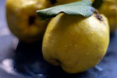 Limonlu ayva meyvesi. Faydalı özelliklerinde farklılar. Pişmiş ve kaynatılmış yiyecekler için uygun. Antioksidan açısından zengin. Sarı, parlak bir renkleri var. Yatay yerleşim planı. Boşluğu kopyala. 