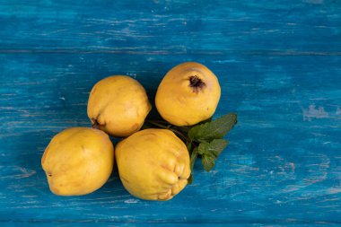 Limonlu ayva meyvesi. Faydalı özelliklerinde farklılar. Pişmiş ve kaynatılmış yiyecekler için uygun. Antioksidan açısından zengin. Sarı, parlak bir renkleri var. Yatay yerleşim planı. Boşluğu kopyala. 