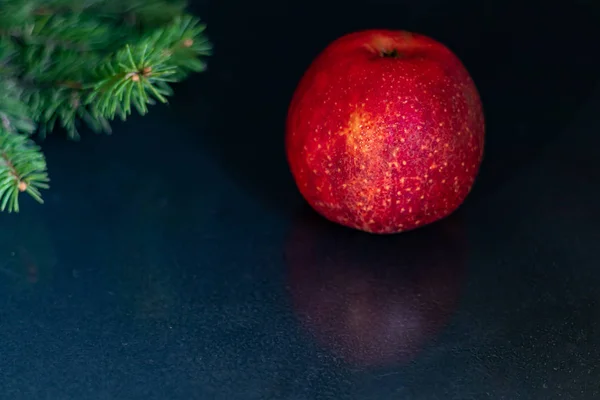 Maçã Vermelha Sobre Fundo Preto Ramo Árvore Natal Ano Novo — Fotografia de Stock