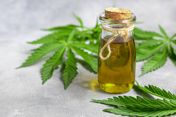 Cannabis oil in a transparent bottle and hemp leaves on a gray background. Copy space.