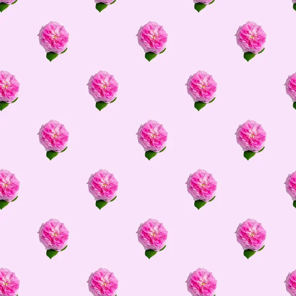 ピンクの背景にお茶のバラとシームレスなパターン 食品の最小限のアイソメトリックテクスチャ ボードに使用し 布に印刷してください 上からの眺め — ストック写真