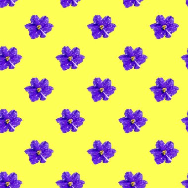 Sarı arka planda mor menekşeli kusursuz desen. Yiyeceğin en az izometrik dokusu. Tahtalar için kullan, kumaş üzerine baskı yap. Yukarıdan görüntüle.