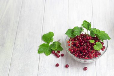 Hafif ahşap arka planda kırmızı frenk üzümü. Vitamin kokteyli. Boşluğu kopyala.