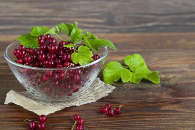 Kırmızı frenk üzümü ve yeşil yapraklar koyu bir arka planda. Vitamin kokteyli. Boşluğu kopyala