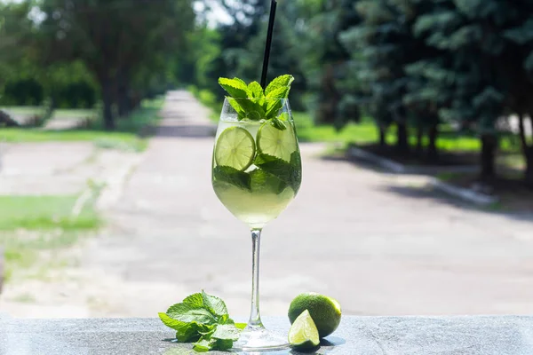 Rinfrescante Cocktail Estivo Con Una Fetta Lime Bevanda Alcolica Guarnito — Foto Stock