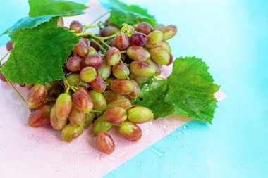 Büyük ve hafif, şarap üzümleri. Maya adı verilen beyaz bir kaplama ile kaplıdır. Bardaklar hafif şarapla doludur. Böğürtlenlere su. Çok renkli bir arka planda. Boşluğu kopyala.
