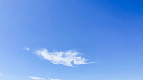 Blue sky with clouds, flying birds and green branches. The cloud in the saw fish shapes. Selective focus.
