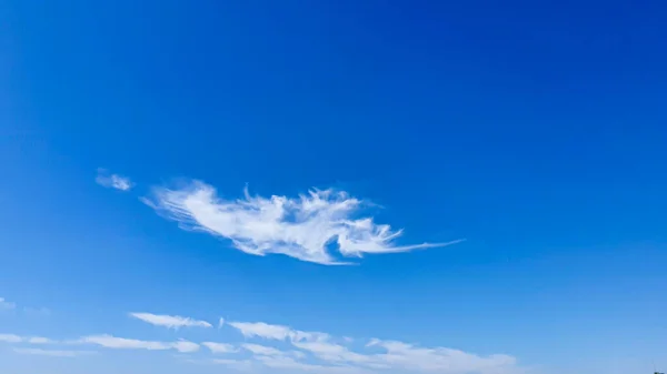 Blauer Himmel Mit Wolken Fliegenden Vögeln Und Grünen Zweigen Die — Stockfoto