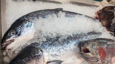 Donmuş deniz ve tatlı su balığı süpermarket rafında. Dilimlenmiş ve bütün. Satılık deniz ürünleri.